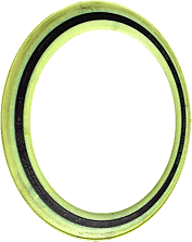 Portrait of an old friend