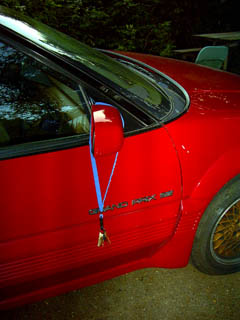 The Andrea Long Theft Protection System