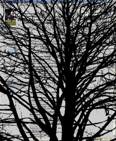MattTurner.us with tree