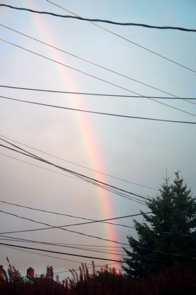Evening rainbow